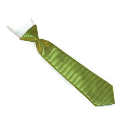 Dunpillo Detská kravata Mini, 21 cm - odtiene zelenej