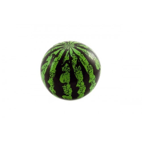 Teddies Lopta melón plast 20cm v sieťke
